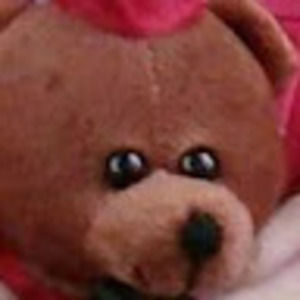 Meet your Posher, Nemo